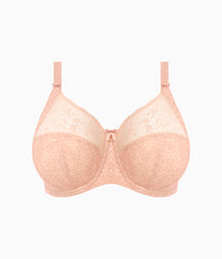 Morgan Underwire Banded Bra: Cameo Rose